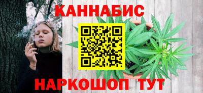 крисы Краснознаменск