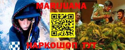 крисы Краснознаменск