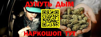 крисы Краснознаменск
