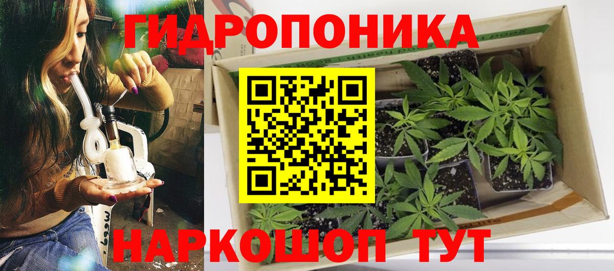 Бошки Шишки Ganja  Канабис тримм  Бошки марихуана AK-47  Вход с VPN  Шишки марихуана индика  Киселёвск 